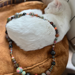 Harmonie Multicolore